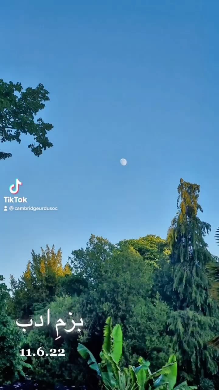 A clear evening sky above the treetops of a college garden, with the moon already out. The Urdu words بزمِ ادب and the date 11.6.22 are set across the lower frame.